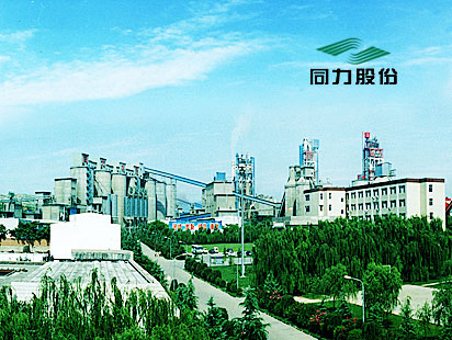 Costruzione e progettazione di Henan Tongli Cement Enterprise Website Group